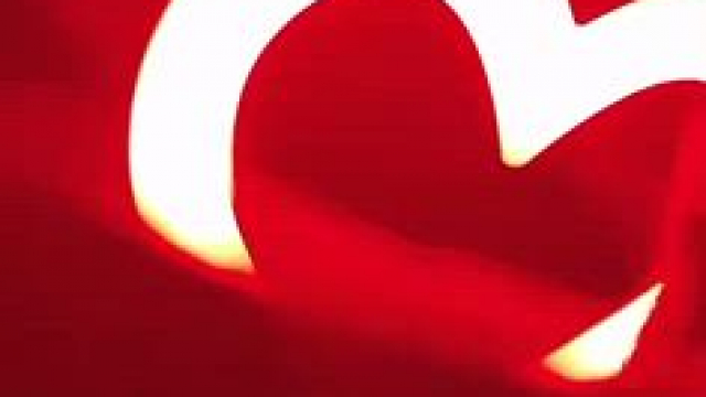 Big Tits Nipslip TikTok