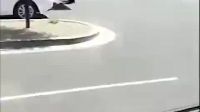 Reiney James Has Fun In Her Car With A New Toy