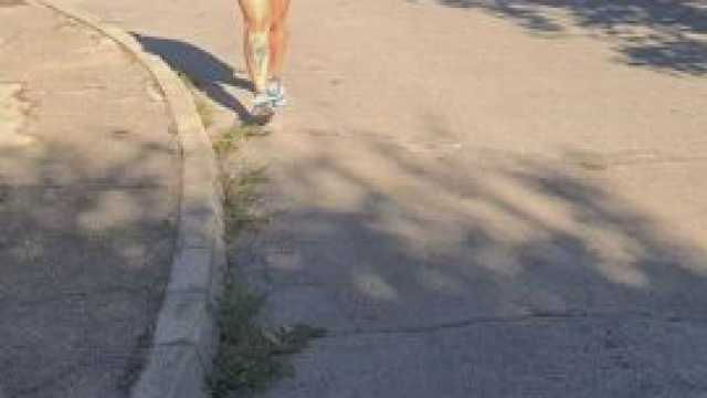 Here come the traffic stoppers (OC)