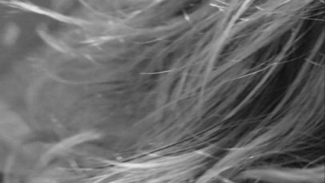 Kiss and Bj under the mistletoe? Dominant Stud in NYC area for Her pleasure