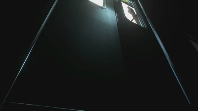 Ana & Pharah exhibitionism (zmsfm)