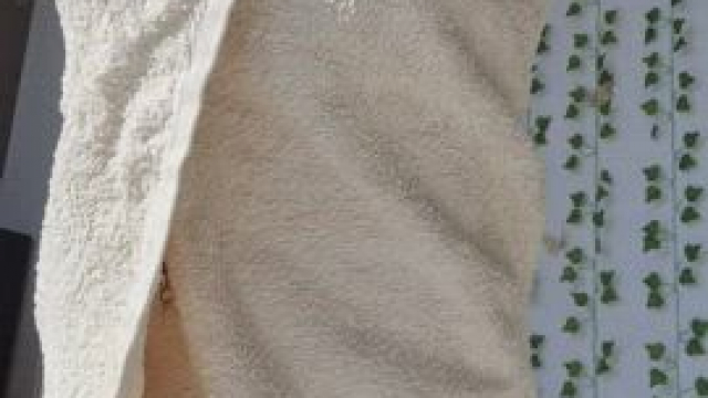 Oh no, I dropped my towel!