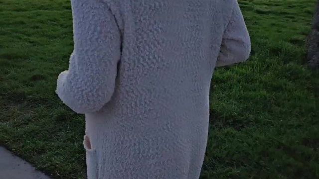 Beautiful Night for Walking the Doggies