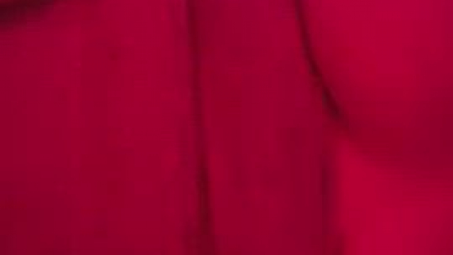 Thicc always wins…feels like heaven