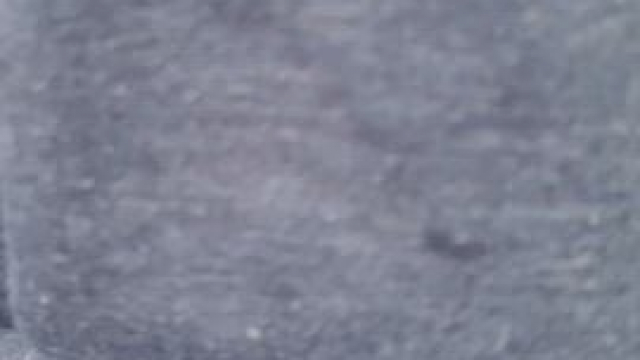 A little bit of pussy in my life.