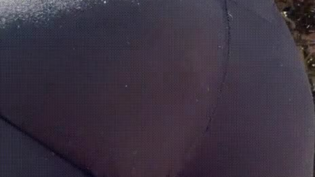 Black yogas are simple but sexy