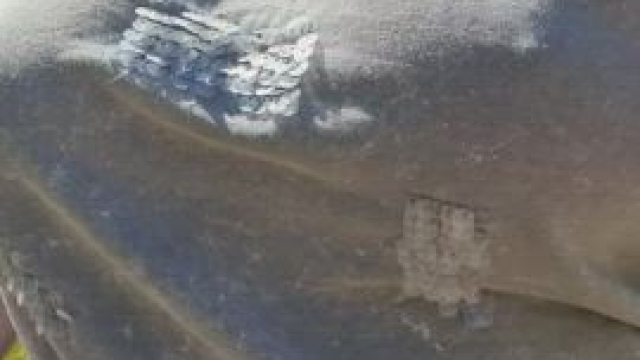 While walking the dog