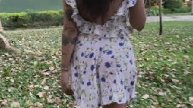 I love the summer evenings at the park [GIF]