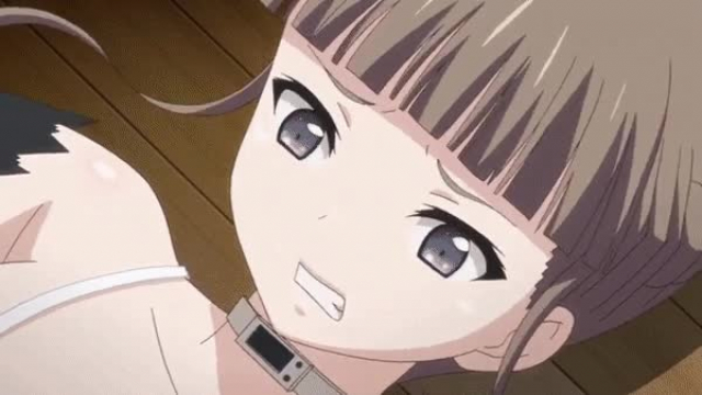 Breeding at the school gym